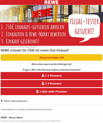 Auf einer angeblichen Internetseite von REWE sollen Nutzer Fragen beantworten. Screenshot: checked4you.de