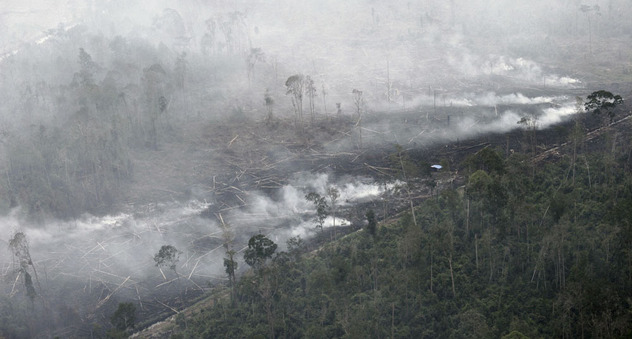 Waldbrände in Indonesien (© Greenpeace / Vinai Dithajohn)