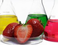 Erdbeeren mit Laborkolben (Bild: Schlierner / fotolia.com)