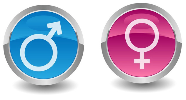 Die Symbole für männlich und weiblich auf einem blauen und einem rosa Kreis. Bild: vicelord6 / Fotolia