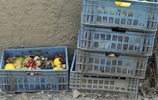 Kisten mit Lebensmittelmüll (Bild: Finkenherd / fotolia.com)