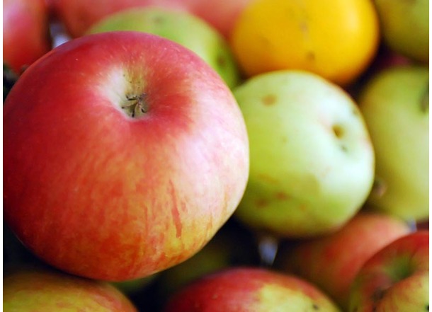 Warum reisen Bio-Äpfel aus Argentinien an?